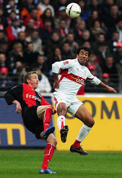 主教练杨鸣 主教练杨鸣